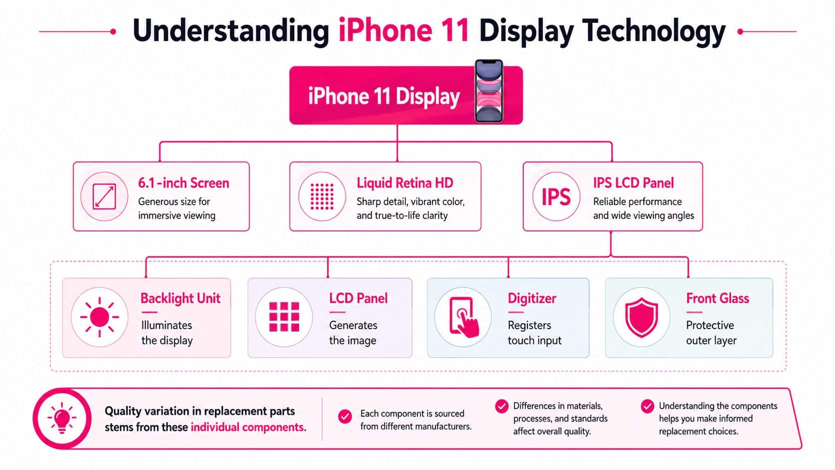 A diagram illustrating the display technology components of an iPhone 11, including the screen, panel, and layers.